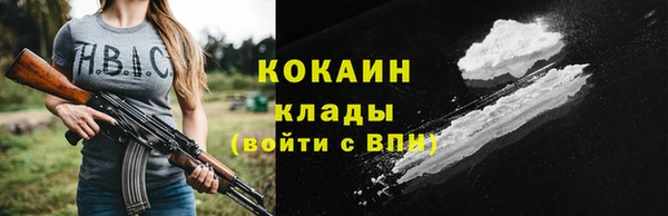 прущие грибы Нязепетровск