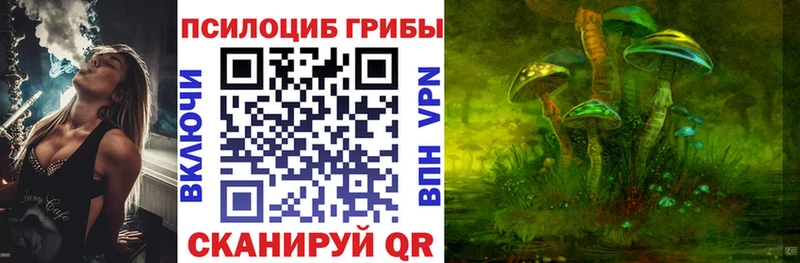 закладки  Куртамыш  Галлюциногенные грибы Magic Shrooms 